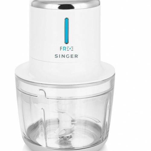 SINGER FREE MC 2001 Photo